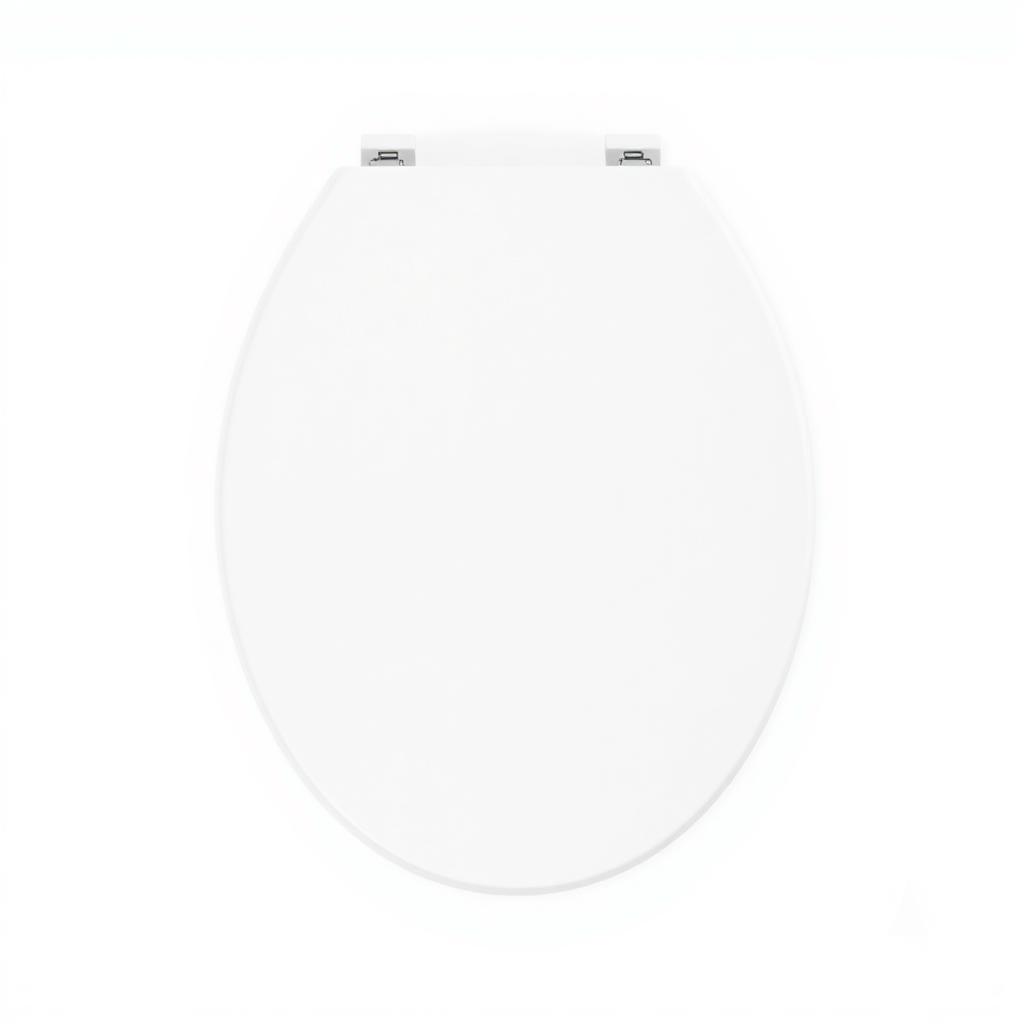 Wc-bril softclose wit duroplast